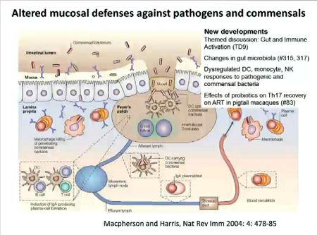 CROI 2014] Patogenesi e infiammazione - HIVforum.info
